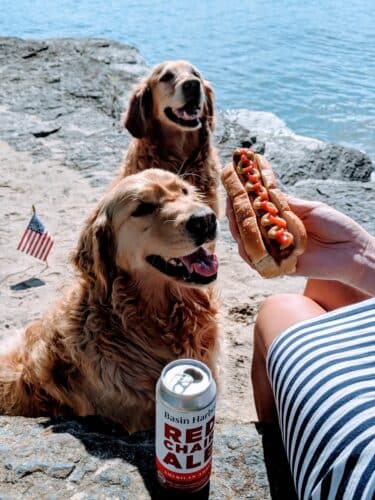 Two golden retrievers looking at a hotdog