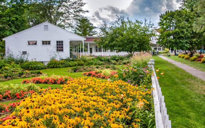 The Surprise Garden