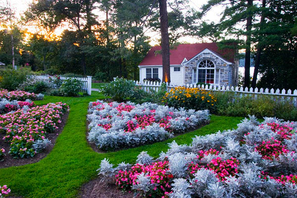 The Surprise Garden