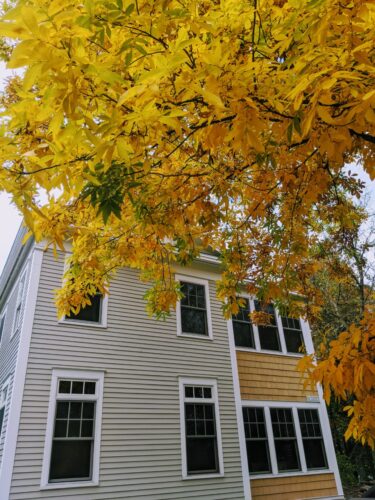 basin harbor summit lodge in the fall